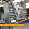 Tianrui-Entwurfs-Stahl galvanisierte H-Art automatisches Hühnerei-Legierungs-Käfig